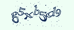 認証画像